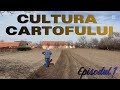Așa pregătesc cultura de cartofi extratimpurii – pas cu pas 🥔🥔🥔