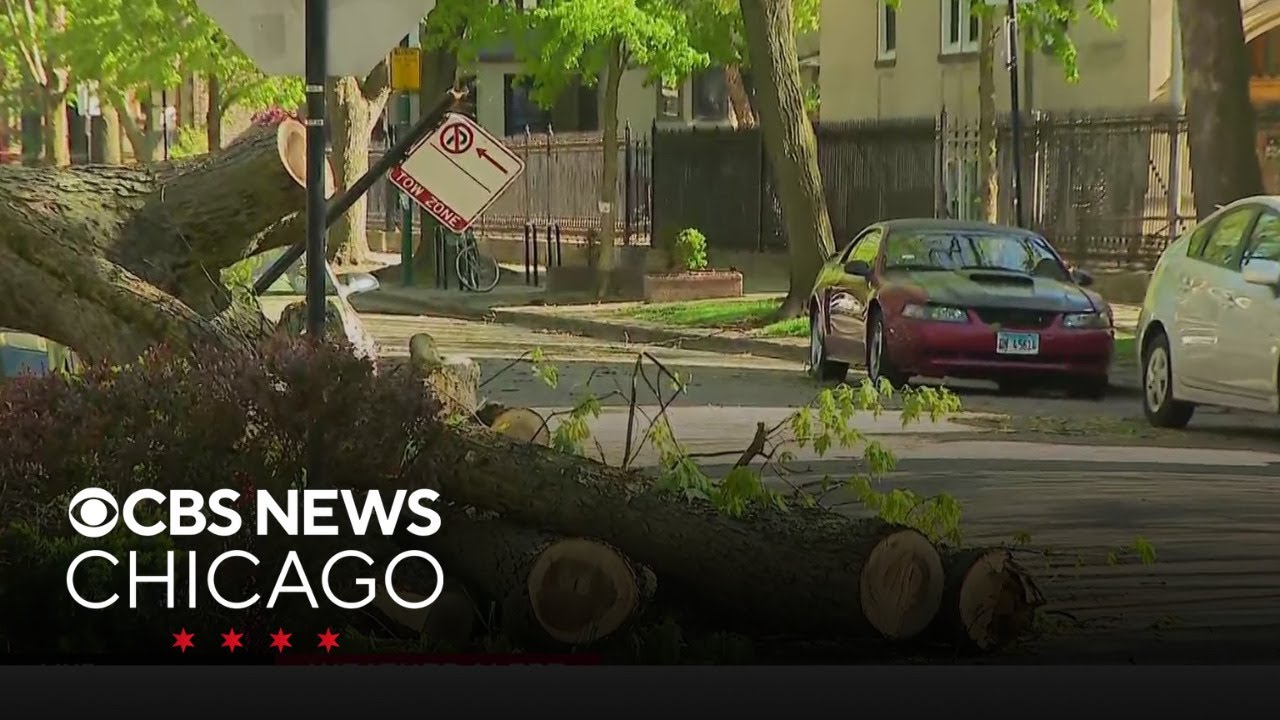 Storms topple trees, bring down power lines in Chicago area - YouTube