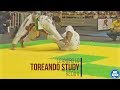 Bjj scout leandro lo toreando study remastered and revised