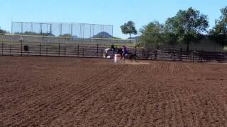 Fancy Bar Rx Katie Magowan - 11715 17.3