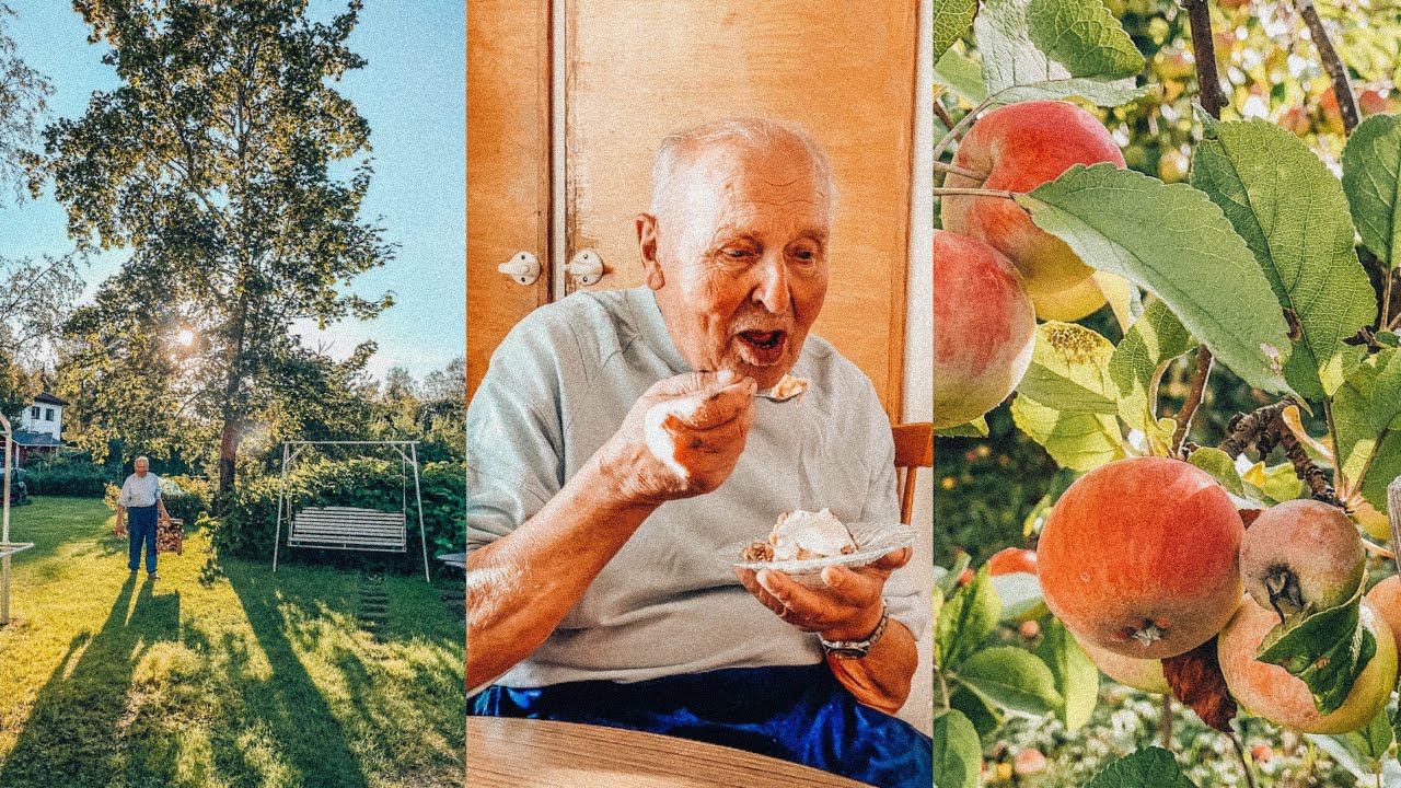 Papan puutarha, marjapensaat ja omenapuu