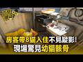 房客帶8貓入住不見蹤影惡臭撲鼻！現場驚見幼貓骸骨 母親駁反控：房東惡意騷擾【直擊現場】