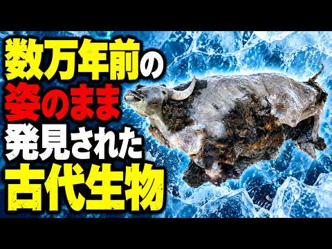 【数万年前なのに…】氷の中から“ほぼ完全な姿”で発見された古代生物7選のサムネイル