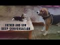 Deep Coversation between Father and Son| Dog Conversation