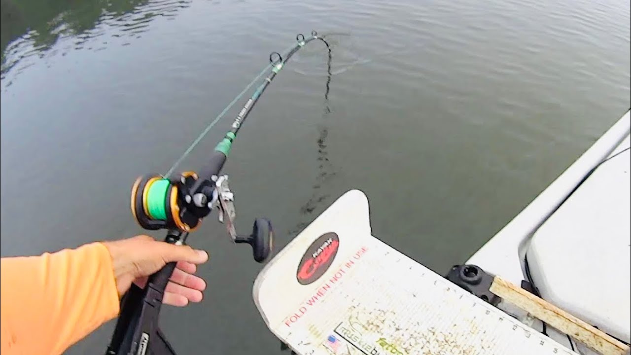 HUGE Catfish Takedown and INCREDIBLE Fight!!!