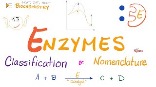 Enzymes Nomenclature and Classifications | Names and Types | Biochemistry