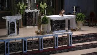St. Matthew Mass Livestream