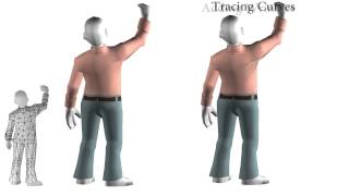 Real Time Dynamic Wrinkling of Coarse Animated Cloth