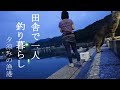 田舎で一人釣り暮らし!固まる土で雑草対策と夕涼みの漁港