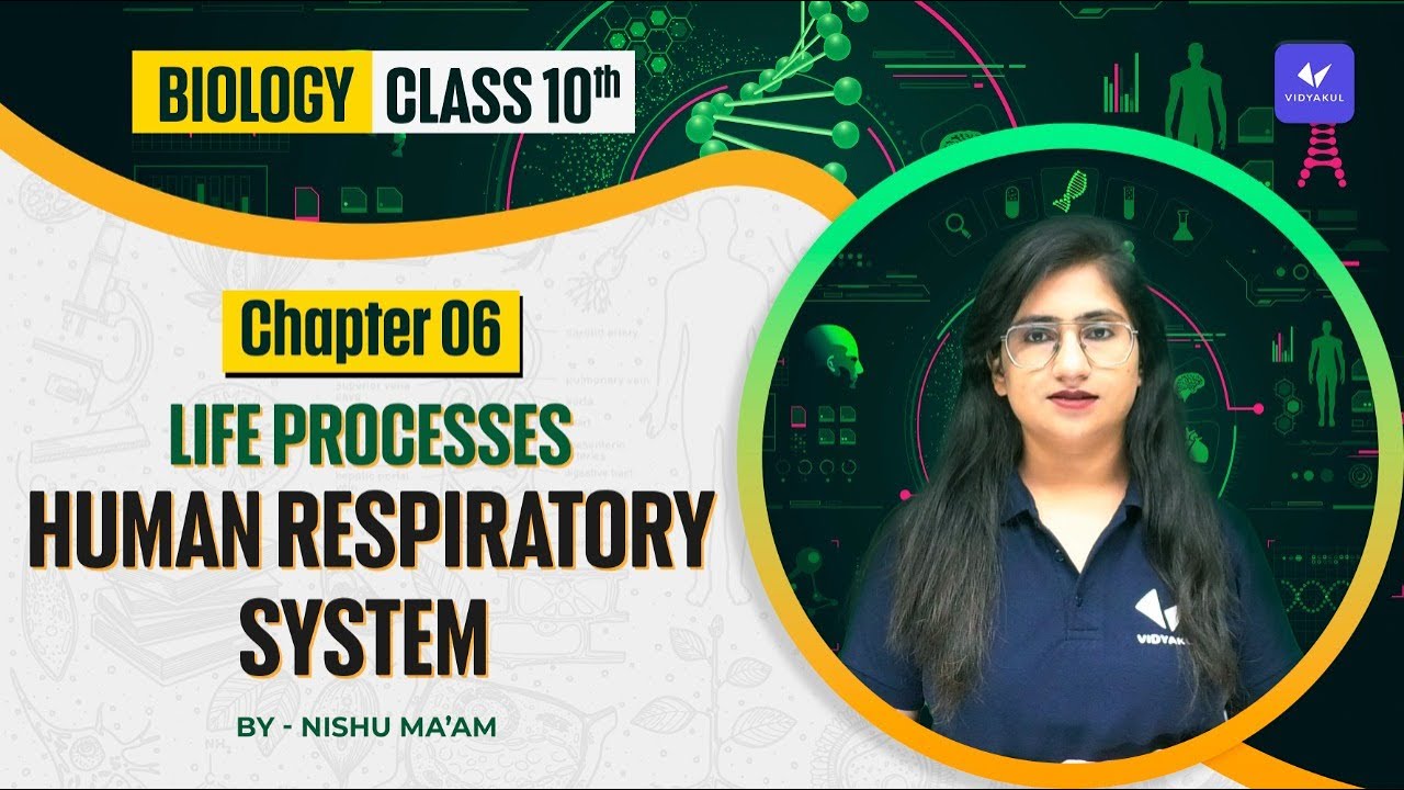 Human Respiratory System | Life Processes | Class 10 Biology Chapter 6 ...