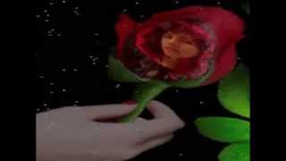 LE DIJE A UNA ROSA chords