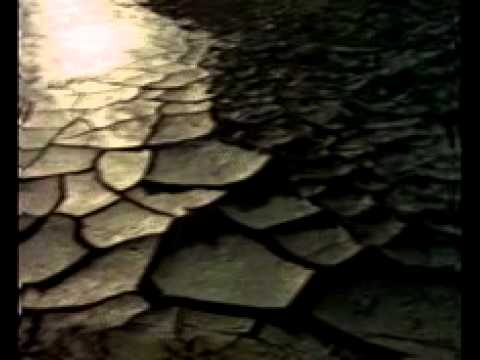   ندمر كوكبنا كل يوم 