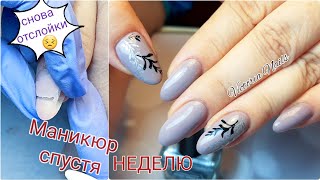 Маникюр клиенту|ПРИЧИНА больших ОТСЛОЕК|Стемпинг BORN PRETTY🌿|Гель-лаки Venalisa|Victoria Nails