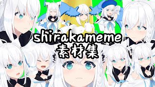 【GB】fubuki fox memes まとめ＋使用例【 #shirakameme 】