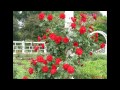 Chẳng có đường cùng - Truyện ngắn Nhật Hồng Nguyễn Thanh Vân