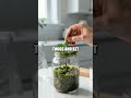 Tiny Pond in a Jar A Safe At Home Micro-ecosystem