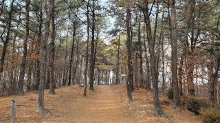 [기타 반주] 20221106 2부 예배