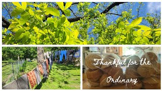 An Ordinary, Beautiful Day at Home | New Kittens | Meal Prepping 
