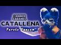 Orange Caramel 까탈레나(Catallena) (Paroto Fancam) | Fursuit Dance Cover By WannaBeast @FurryJoA2026