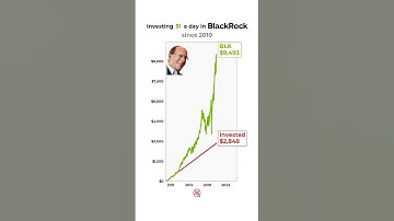 POV: You invested $1/day in BlackRock📈🔥 #blackrock #investments #stockmarket