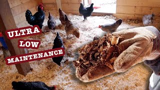 DEEP LITTER METHOD Explained | Low-Maintenance Chicken Bedding We Clean 2-3x/Year | Composting Coop