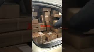 如何做到每天都爆仓#pets #在家赚钱 #宠物 #创业