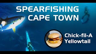 Diving Cape Town! Wild Yellowtail, Catch cook included!🤿😍🍔