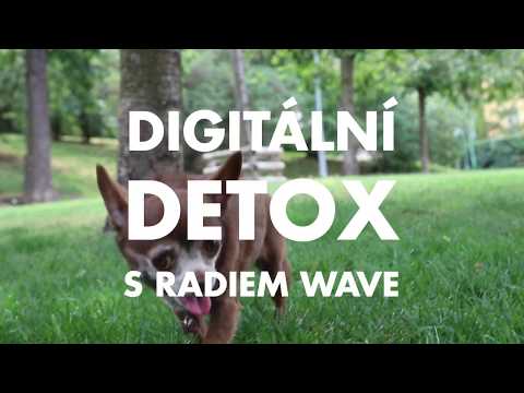 Video: Potřebujete Digitální Detox? Zde Je 8 Míst, Které Byste Měli Zvážit