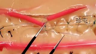 Basic training 21  Vascular separation and ligation module model, 2mm tube double needle continuous