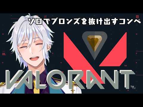 【VALORANT】ブロンズの初心者で2