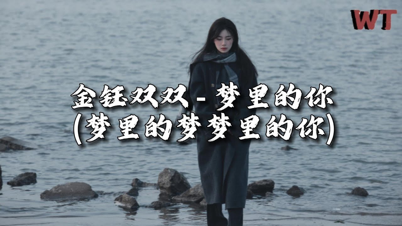 金钰双双 - 梦里的你 (梦里的梦梦里的你）『梦里的爱离我远去，梦里的人藏在心底。』【动态歌词MV】