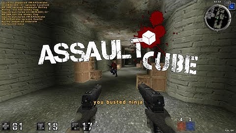 Assault Cube #6