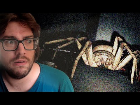 GIANT SPIDER