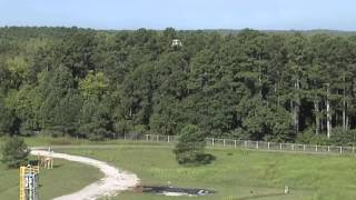 Mighty Eagle' Lander Takes 100-Foot Free Flight