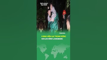 5 SINH VIÊN LẠC TRONG RỪNG KHI LEO ĐỈNH LANGBIANG #shorts