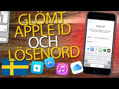 Video: Vad Du Ska Göra Om Du Har Glömt Ditt Lösenord Via E-post