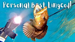 Spearfishing Big Sur - GIANT LINGCOD!