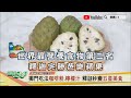 世界最營養食物 第二名！ 釋迦 完勝 芭樂 蘋果 健康2.0 精華