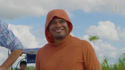 Hinsby Cadillo-Quiroz on microbes