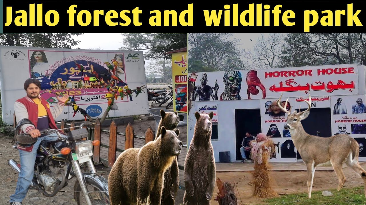 jallo park 2024/جلو پارک کی سیر ..ویڈیو کو لاسٹ تک ضرور دیکھیں 