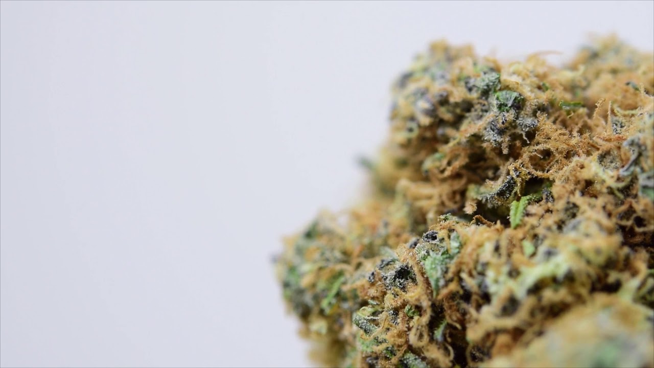 WHITE COOKIES Weed Strain Review BC Kush