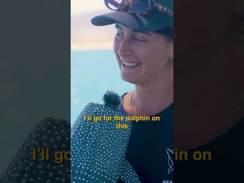 Shark Bites With Heidy