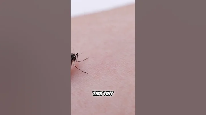 Tiny Insect Kills More Humans Than Any Other Animal!