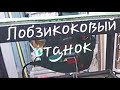 Лобзиковый станок за 10 минут. Как пилить электролобзиком.