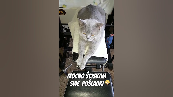 Stoje sobie na dwóch łapach a za mną brzydki zapach