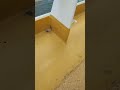 I dropped ice cream in the ocean