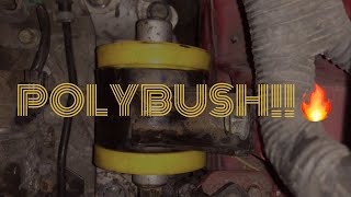 Ep3 Polybushd Gearbox Mount