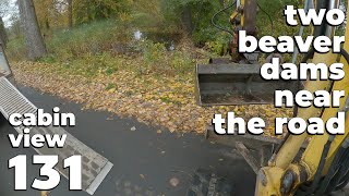 Two Beaver Dams Near The Road - Beaver Dam Removal With Excavator No.131 - Cabin View