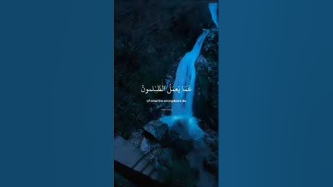 لأ_أله_ألأ_ألله✨ #راحة_نفسية #صوت_جميل #خشوع #القرآن_الكريم #آيات #اسلاميات #قراءة_قرآن #تلاوة