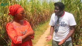 Bikin Yata Part 3: Latest Hausa Movies 2026 (Hausa Films)
